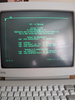 Wyse terminal