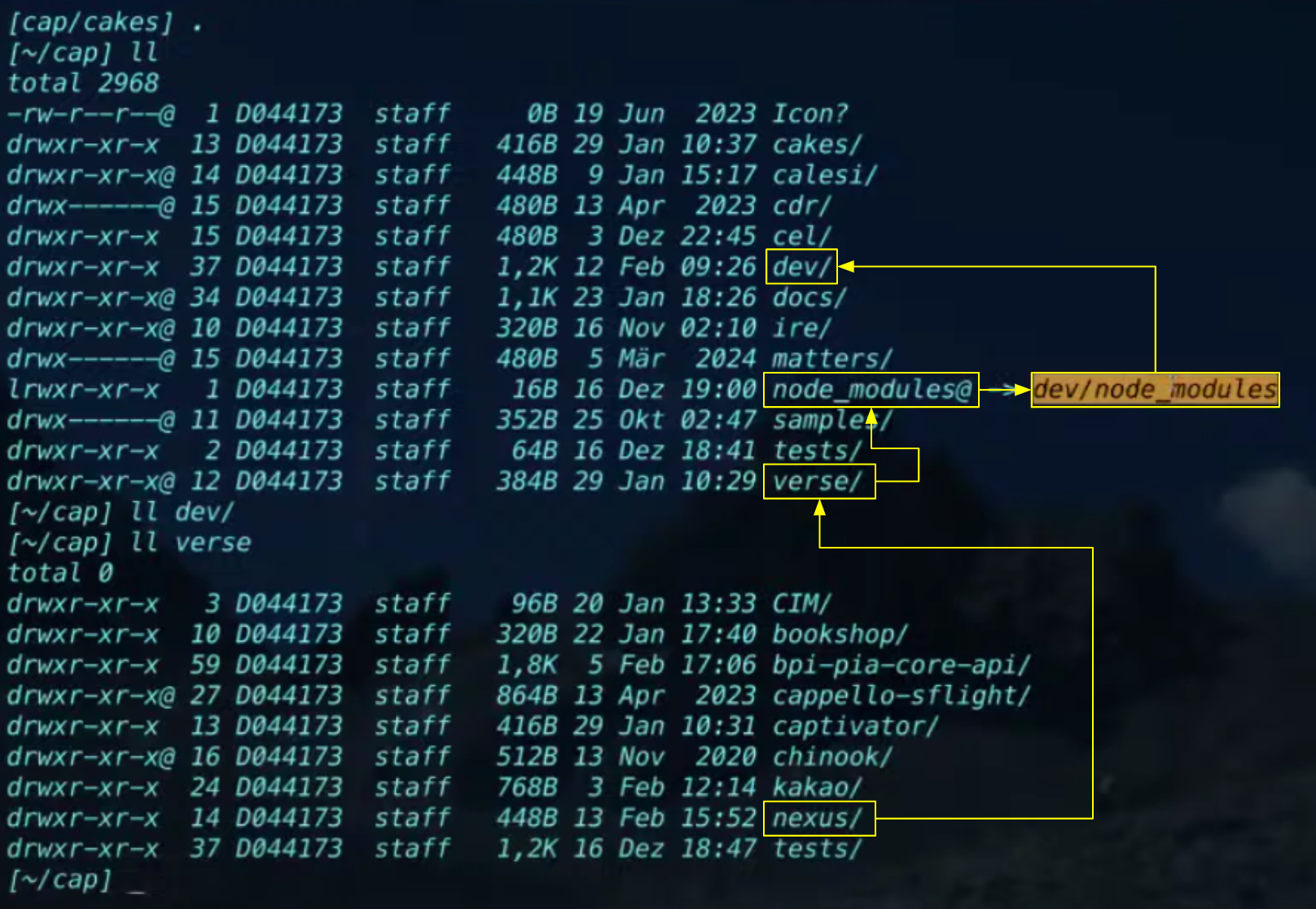 Daniel's directory and file structure